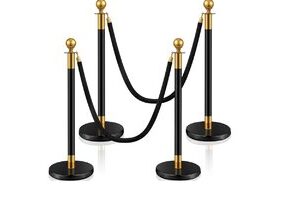 Black and Gold Stainless Steel Stanchion